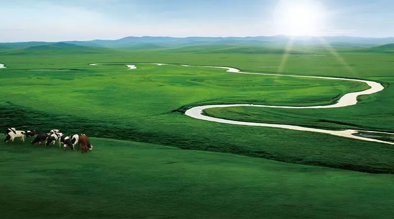 WNS系列燃氣鍋爐助力武威市伊利乳業日產1800噸液態奶